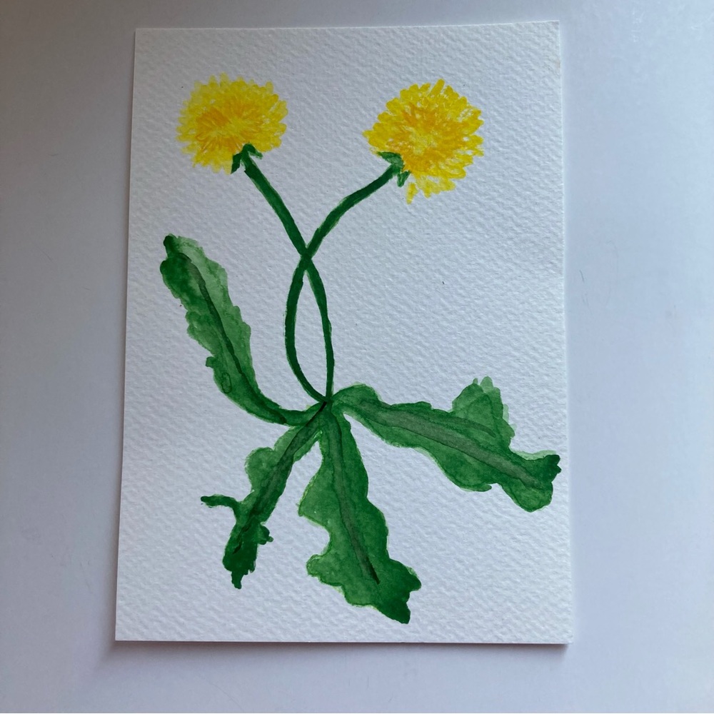 Dandelion Watercolor Painting
